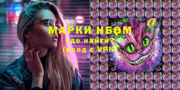 СК Белокуриха