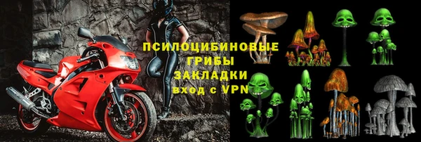 СК Белокуриха